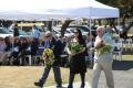 Airforce Association NSW Ballina Commemoration Sunday photo gallery - 